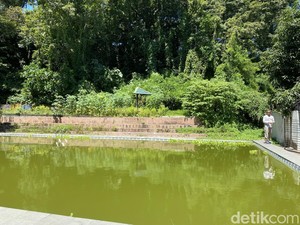 Wisata Kolam Renang Milik Pemkot Parepare Sudah 5 Tahun Terbengkalai