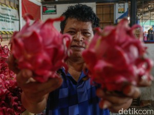 Awalnya Tukang Kebun, Pria Ini Banting Setir Bisnis Buah Omzet Puluhan Juta