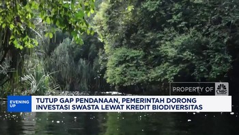 Video: Pemerintah Dorong Investasi Swasta Lewat Kredit Biodiversitas