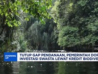Video: Pemerintah Dorong Investasi Swasta Lewat Kredit Biodiversitas