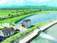 PTPP Rampungkan Proyek Pengendali Banjir di Kulon Progo