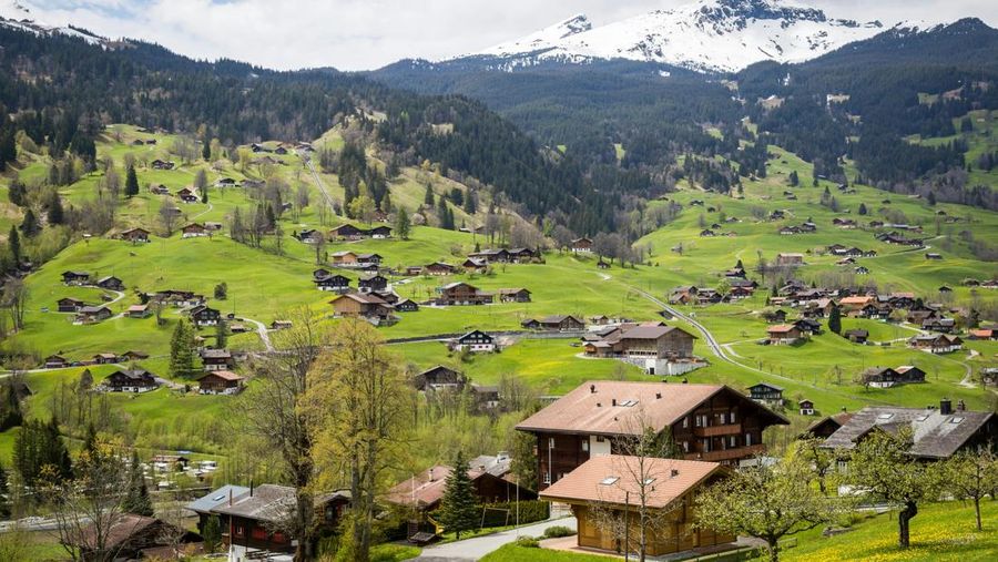 Swiss Swiss