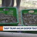 Video: Tarif Trump Ancam Ekspor Tekstil Hingga Udang RI
