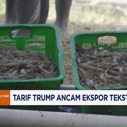 Video: Tarif Trump Ancam Ekspor Tekstil Hingga Udang RI