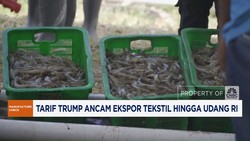 Video: Tarif Trump Ancam Ekspor Tekstil Hingga Udang RI