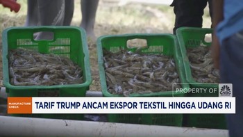 Video: Tarif Trump Ancam Ekspor Tekstil Hingga Udang RI
