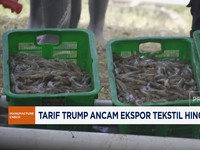 Video: Tarif Trump Ancam Ekspor Tekstil Hingga Udang RI