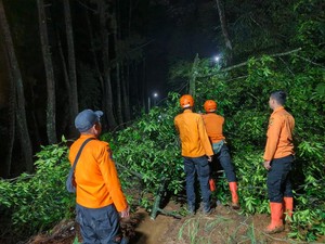Tebing 14 Meter di Ciawi Bogor Longsor Tutup Jalan Alternatif ke Pancawati