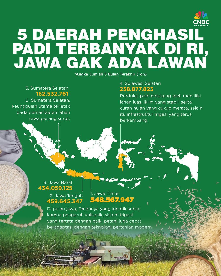 5 Daerah Penghasil Padi Terbanyak di Indonesia, Jawa Gak Ada Lawan