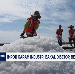 Video: Impor Garam Industri Bakal Disetop, Begini Respon Pengusaha