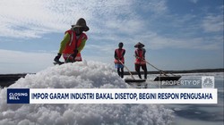 Video: Impor Garam Industri Bakal Disetop, Begini Respon Pengusaha