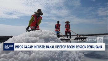 Video: Impor Garam Industri Bakal Disetop, Begini Respon Pengusaha