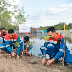 Peringati Hari Hutan Sedunia, Pertamina Perkuat Program Unggulan Ini
