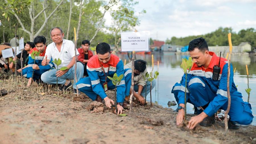 Dok Pertamina
