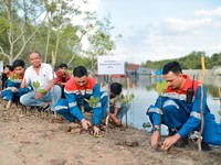 Peringati Hari Hutan Sedunia, Pertamina Perkuat Program Unggulan Ini