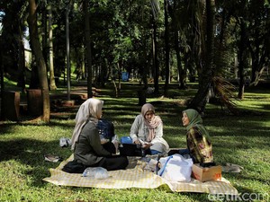 Ambisius! Jakarta Akan Punya Taman 6,2 Hektare, Buka 24 Jam