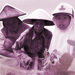 Jutaan Perempuan RI Jadi Tulang Punggung Keluarga, Sekolah Cuma SD