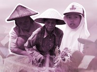 Jutaan Perempuan RI Jadi Tulang Punggung Keluarga, Sekolah Cuma SD