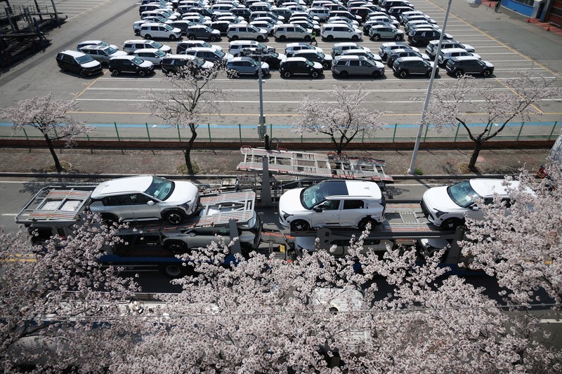 Sebuah pengangkut mobil yang mengangkut kendaraan buatan Kia Motors, yang merupakan bagian dari perusahaan pembuat mobil terbesar Korea Selatan, Hyundai Motor, melintasi pohon sakura yang sedang berbunga di dekat pelabuhan Pyeongtaek di Pyeongtaek, Korea Selatan, Selasa (15/4/2024). (REUTERS/Kim Hong-Ji)