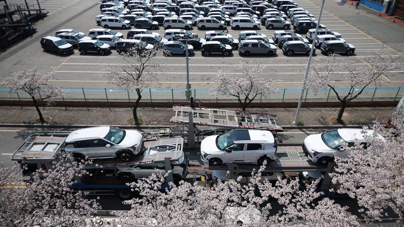 Sebuah pengangkut mobil yang mengangkut kendaraan buatan Kia Motors, yang merupakan bagian dari perusahaan pembuat mobil terbesar Korea Selatan, Hyundai Motor, melintasi pohon sakura yang sedang berbunga di dekat pelabuhan Pyeongtaek di Pyeongtaek, Korea Selatan, Selasa (15/4/2024). (REUTERS/Kim Hong-Ji)