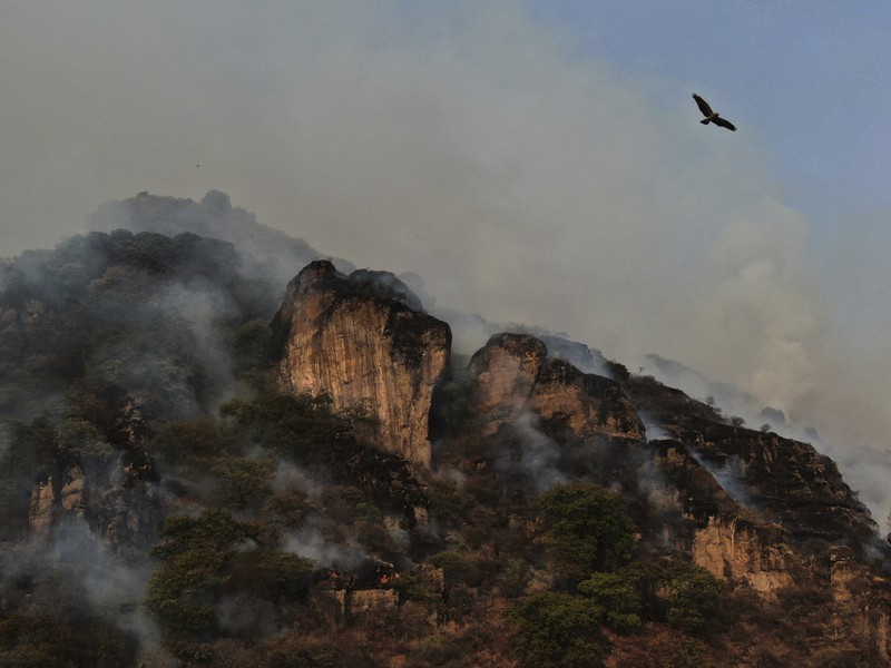 Asap mengepul dari kebakaran hutan di luar Amatlan, Meksiko, Selasa (15/4/2025). (AP Photo/Fernando Llano) Asap mengepul dari kebakaran hutan di luar Amatlan, Meksiko, Selasa (15/4/2025). (AP Photo/Fernando Llano)