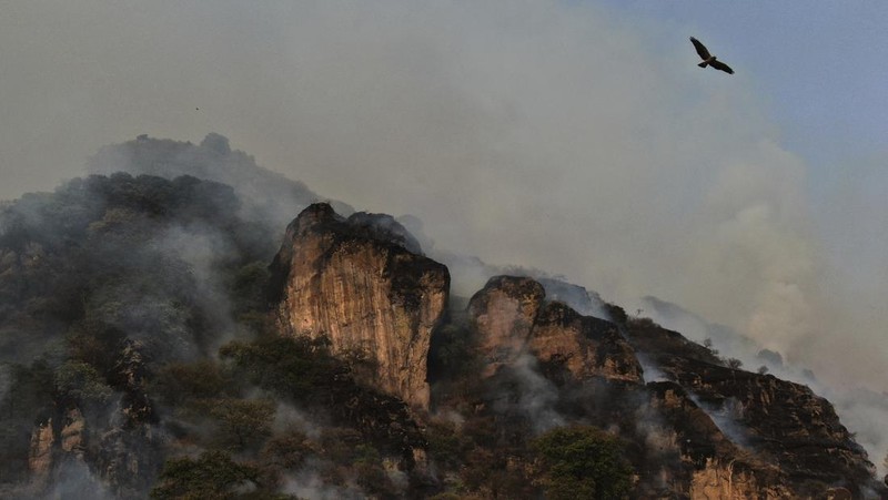 Asap mengepul dari kebakaran hutan di luar Amatlan, Meksiko, Selasa (15/4/2025). (AP Photo/Fernando Llano)
