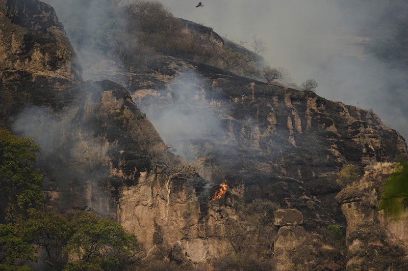 Asap mengepul dari kebakaran hutan di luar Amatlan, Meksiko, Selasa (15/4/2025). (AP Photo/Fernando Llano)