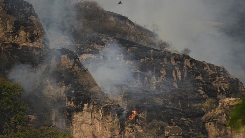 Asap mengepul dari kebakaran hutan di luar Amatlan, Meksiko, Selasa (15/4/2025). (AP Photo/Fernando Llano)