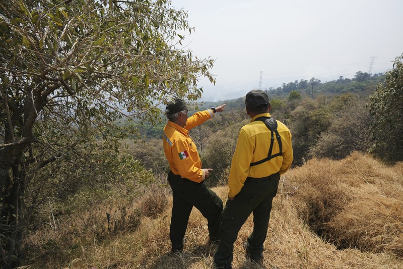 Asap mengepul dari kebakaran hutan di luar Amatlan, Meksiko, Selasa (15/4/2025). (AP Photo/Fernando Llano)