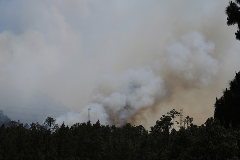 Asap mengepul dari kebakaran hutan di luar Amatlan, Meksiko, Selasa (15/4/2025). (AP Photo/Fernando Llano) Asap mengepul dari kebakaran hutan di luar Amatlan, Meksiko, Selasa (15/4/2025). (AP Photo/Fernando Llano)