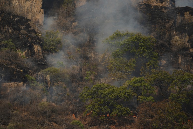 Asap mengepul dari kebakaran hutan di luar Amatlan, Meksiko, Selasa (15/4/2025). (AP Photo/Fernando Llano)