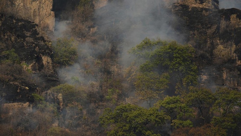 Asap mengepul dari kebakaran hutan di luar Amatlan, Meksiko, Selasa (15/4/2025). (AP Photo/Fernando Llano)