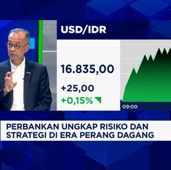 Video: Bos Bank Digital Wanti-wanti Risiko Perbankan Era Perang Dagang