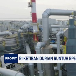 Video: RI Ketiban Durian Runtuh Rp587,84 Triliun, Ini Sumbernya