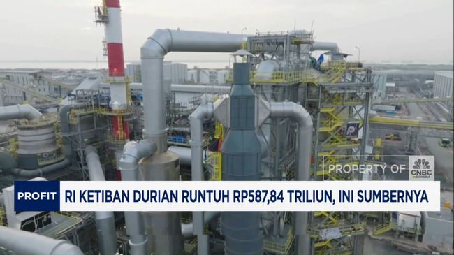 Video: RI Ketiban Durian Runtuh Rp587,84 Triliun, Ini Sumbernya