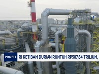 Video: RI Ketiban Durian Runtuh Rp587,84 Triliun, Ini Sumbernya