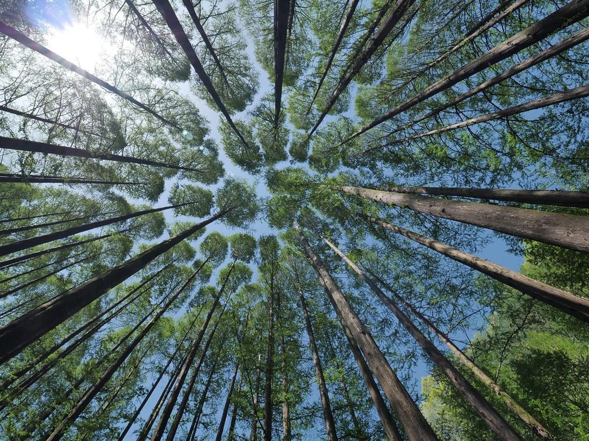 Ilmuwan Jepang Sukses Ciptakan RNA di Laboratorium, Bukti Kehidupan Bisa dari Luar Angkasa