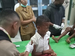 Lima Warga Kupang Digigit Anjing Liar Diduga Rabies