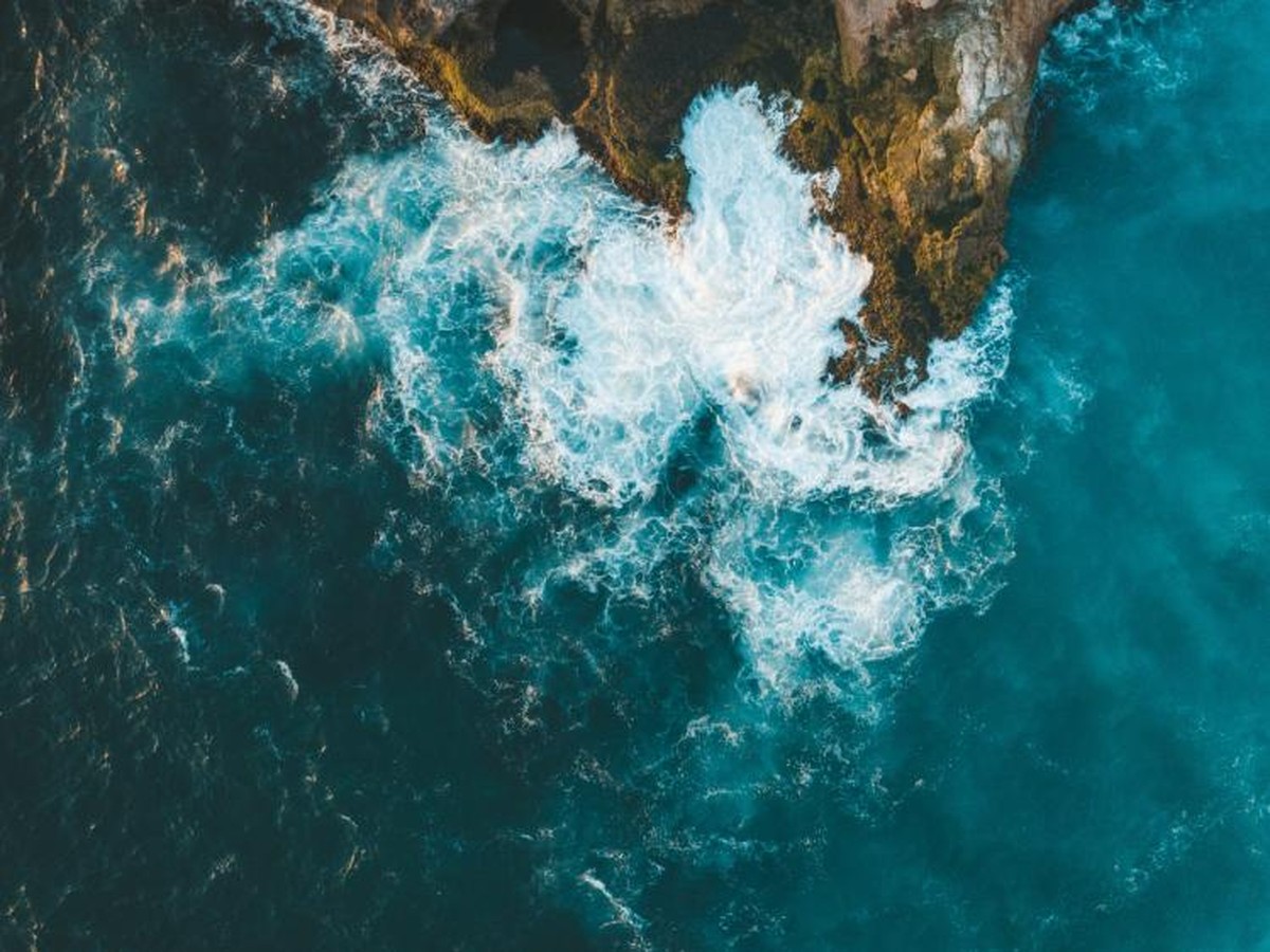 Perilaku Paus Pembunuh di Afrika Selatan Jadi Tanda Perubahan Iklim Serius