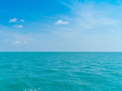 China Rendam 24 Megawatt di Laut Full Pakai Tenaga Angin
