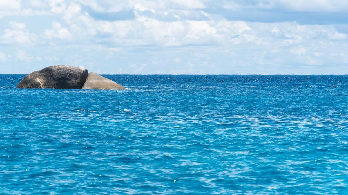 New Study: Threat of Fish Bombing in Indonesian Waters Occurs Every Hour