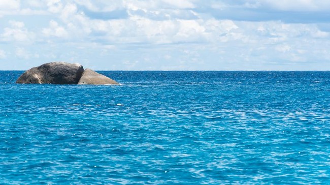 1.400 Lingkaran Misterius Ditemukan di Dasar Laut, Ini Penjelasan Ahli