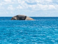 1.400 Lingkaran Misterius Ditemukan di Dasar Laut, Ini Penjelasan Ahli