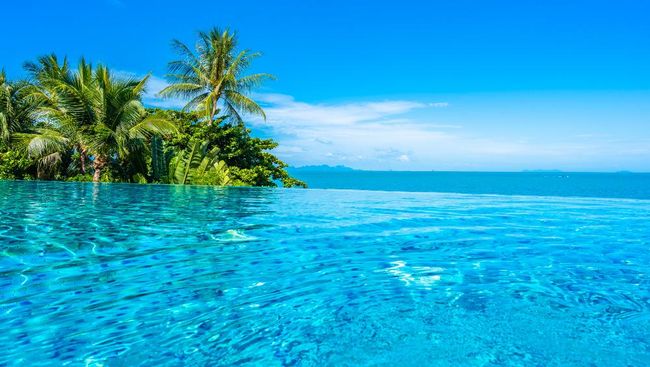 Bukan Merah, Ternyata Ini Warna Paling Langka di Alam