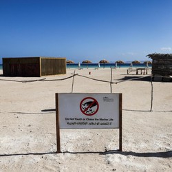 Potret Negara Arab Bangun Proyek Besar, Wisata Alam Ini Terancam
