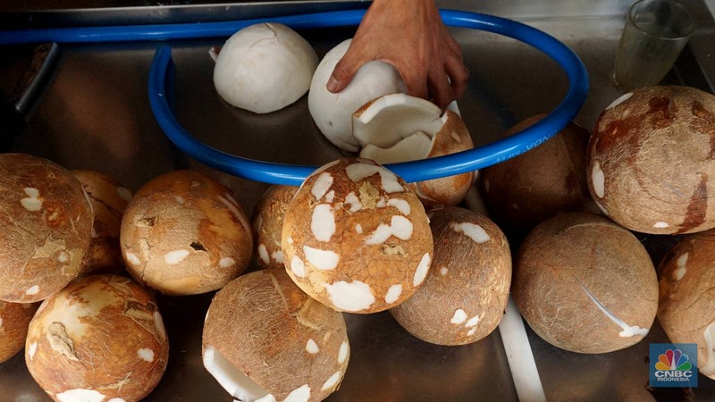 Penjualan kelapa parut pada salah satu ruko di kawasan Duren Tiga, Jakarta Selatan, Rabu (16/4/2025). (CNBC Indonesia/Muhammad Sabki) Penjualan kelapa parut pada salah satu ruko di kawasan Duren Tiga, Jakarta Selatan, Rabu (16/4/2025). (CNBC Indonesia/Muhammad Sabki)