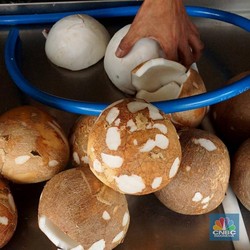 Harga Kelapa Parut Meledak Parah, Emak-emak Kaget Sampai Curhat Begini