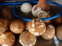 Harga Kelapa Parut Meledak Parah, Emak-emak Kaget Sampai Curhat Begini
