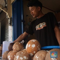 Harga Kelapa Parut Tembus Rp 25.000, Mendag Sebut Biang Keroknya
