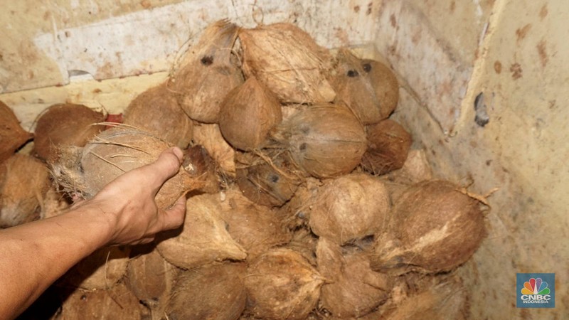 Penjualan kelapa parut pada salah satu ruko di kawasan Duren Tiga, Jakarta Selatan, Rabu (16/4/2025). (CNBC Indonesia/Muhammad Sabki) Penjualan kelapa parut pada salah satu ruko di kawasan Duren Tiga, Jakarta Selatan, Rabu (16/4/2025). (CNBC Indonesia/Muhammad Sabki)